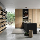 Luxury ODM Modular Kitchen Pantry Cabinet